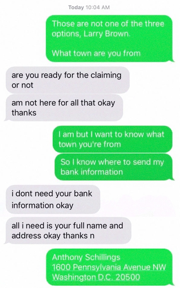 One Guy Trolls A Scammer (12 pics)