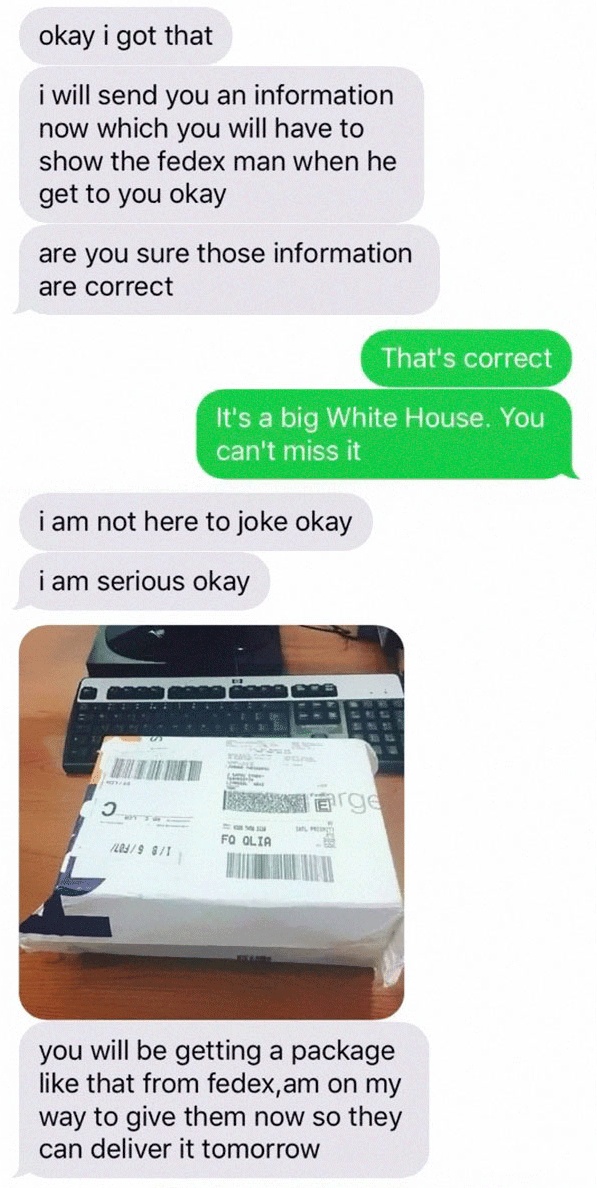 One Guy Trolls A Scammer (12 pics)