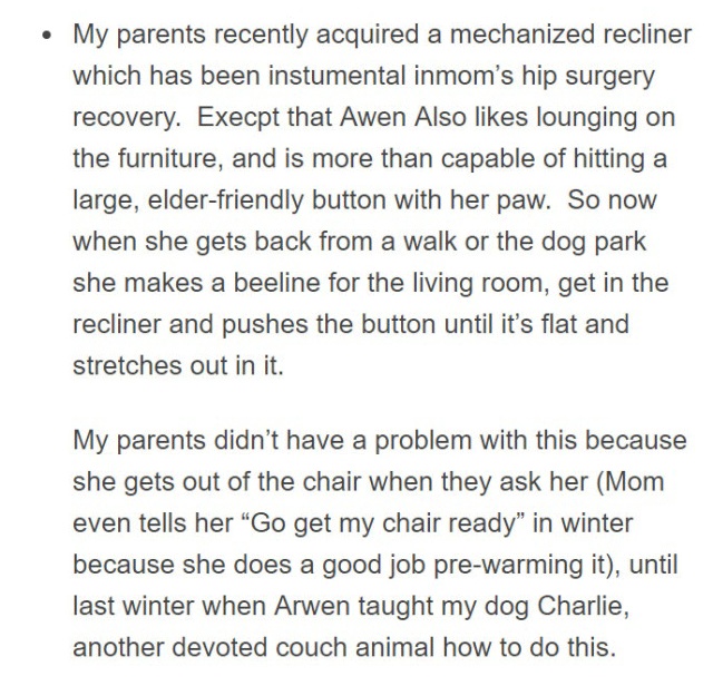 Person Gets A Service Dog Trained In Prison, Discovers How Naughty She Is (15 pics)