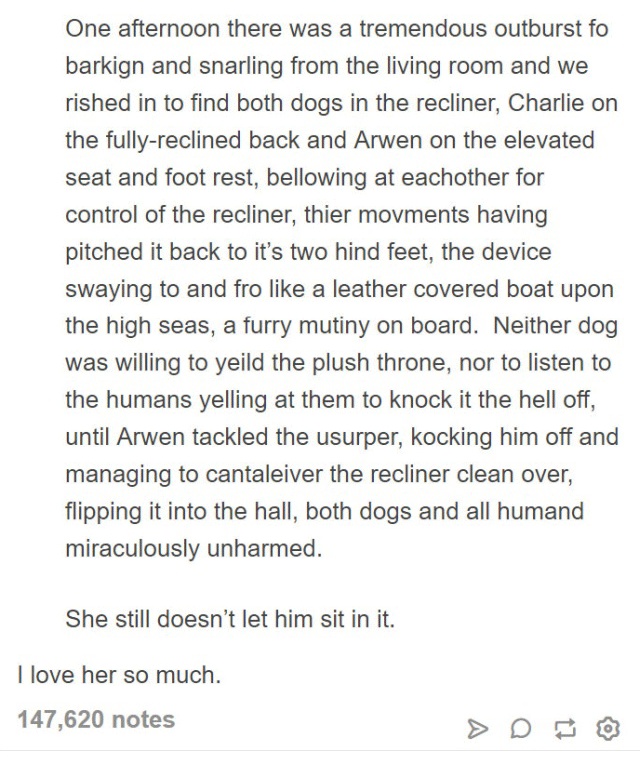 Person Gets A Service Dog Trained In Prison, Discovers How Naughty She Is (15 pics)