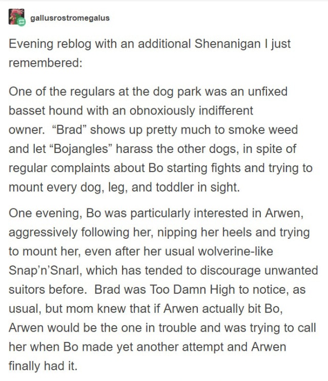 Person Gets A Service Dog Trained In Prison, Discovers How Naughty She Is (15 pics)