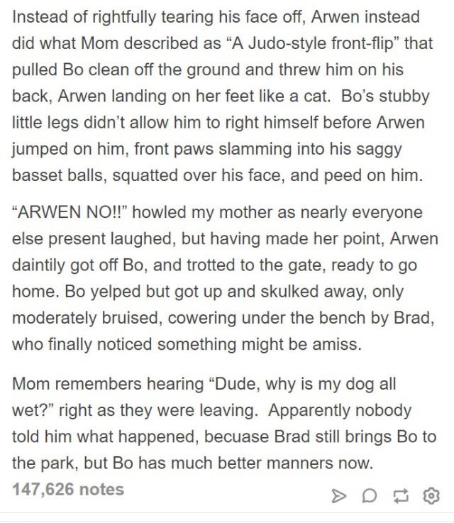 Person Gets A Service Dog Trained In Prison, Discovers How Naughty She Is (15 pics)