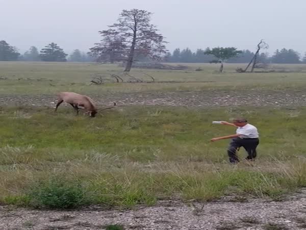 Tourists: The Best Free Entertainment