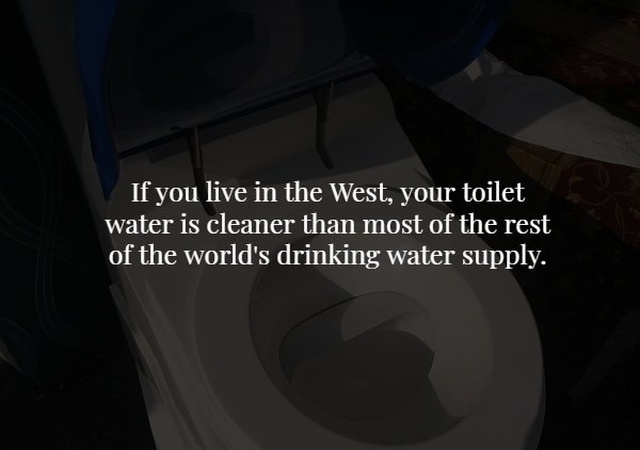 Scary Facts (17 pics)