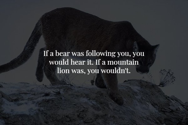 Scary Facts (17 pics)