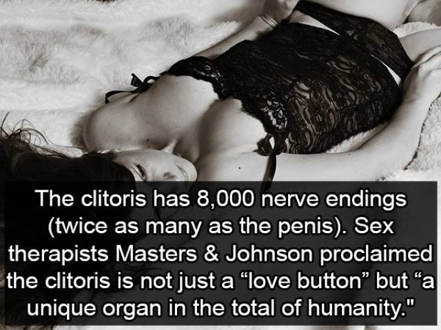 Facts about Foreplay (14 pics)