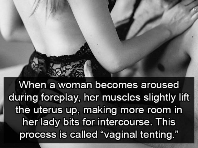 Facts about Foreplay (14 pics)