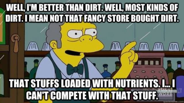 Simpsons Memes (56 pics)