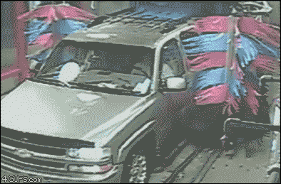 People Can Be Stupid Sometimes (15 gifs)