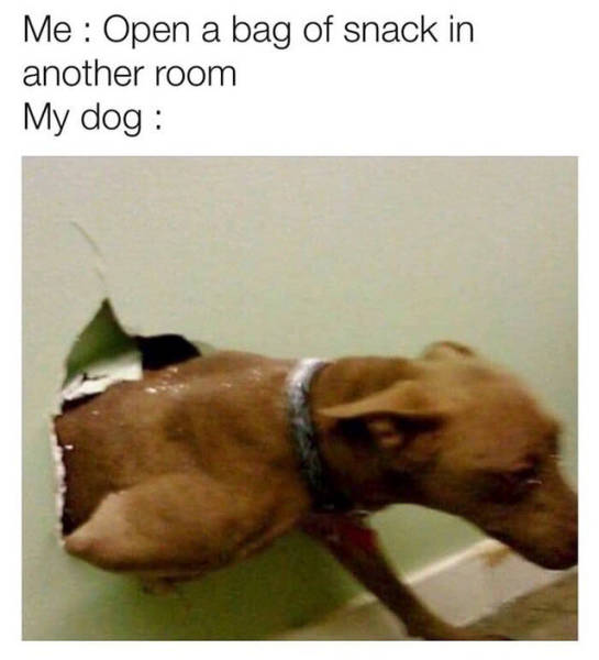 So True (36 pics)
