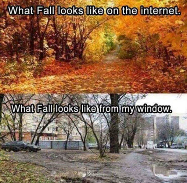 So True (36 pics)