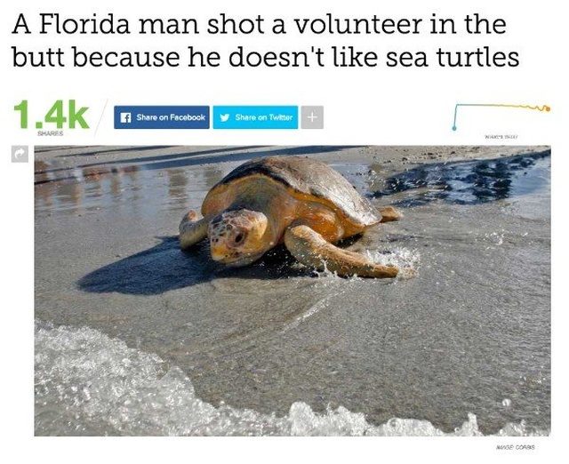 Only In Florida (22 pics)