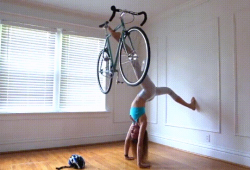 Acid Gifdump, December 4, 2018 (25 gifs)