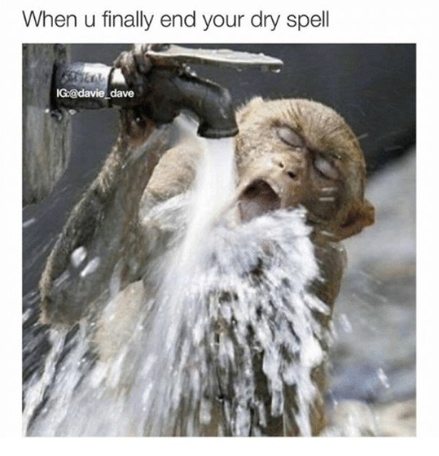 Dry Spell Memes (29 pics)