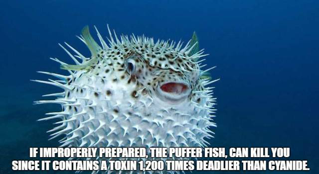 Food Facts (15 pics)