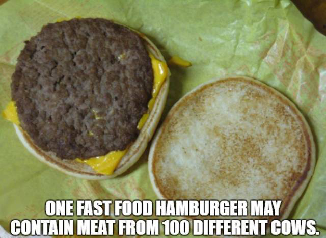 Food Facts (15 pics)