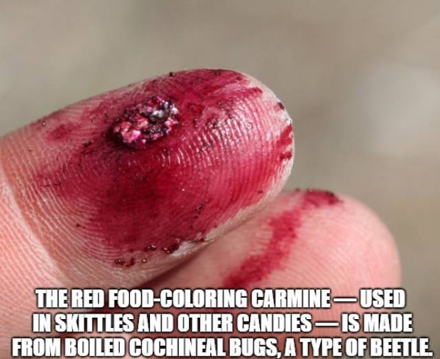 Food Facts (15 pics)