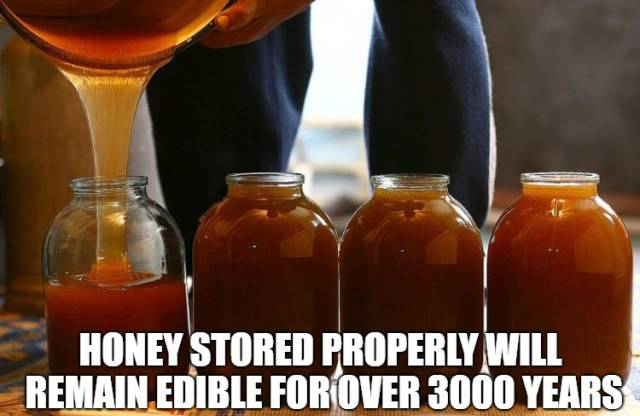 Food Facts (15 pics)