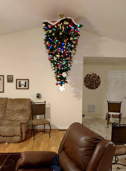 Cat-Proof Christmas Trees (20 pics)