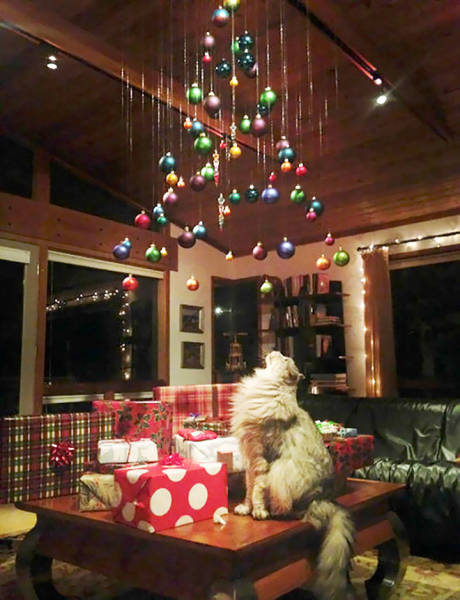 Cat-Proof Christmas Trees (20 pics)