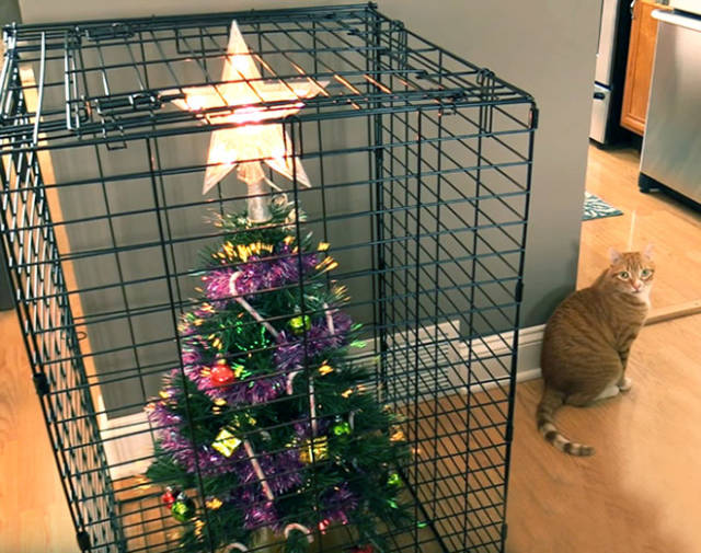 Cat-Proof Christmas Trees (20 pics)