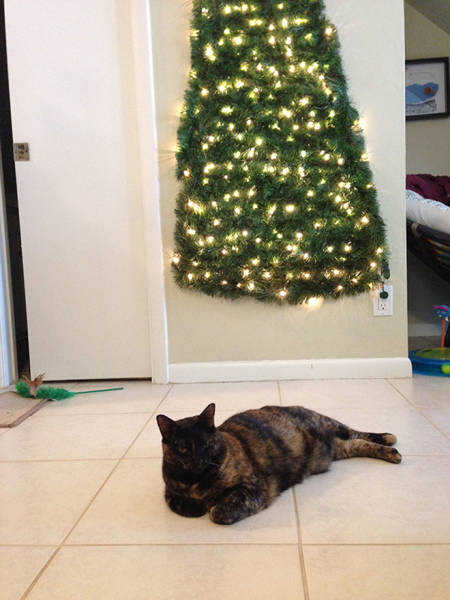 Cat-Proof Christmas Trees (20 pics)