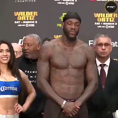 Acid Gifdump, December 5, 2018 (25 gifs)