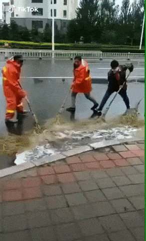 Acid Gifdump, December 5, 2018 (25 gifs)