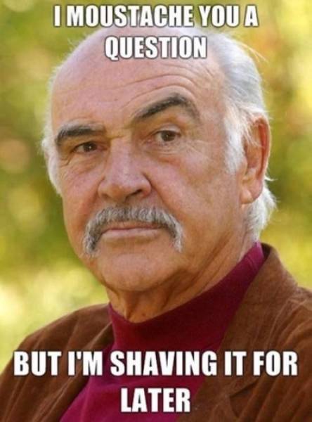 These Puns Are Funny (29 pics)