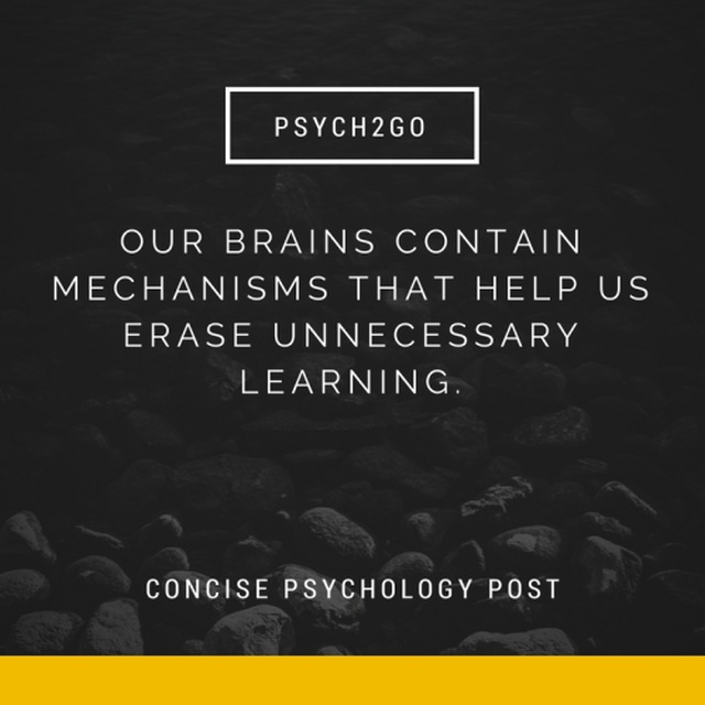 Interesting Psychology Facts (30 pics)