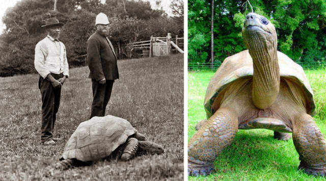 Everything Changes (16 pics)