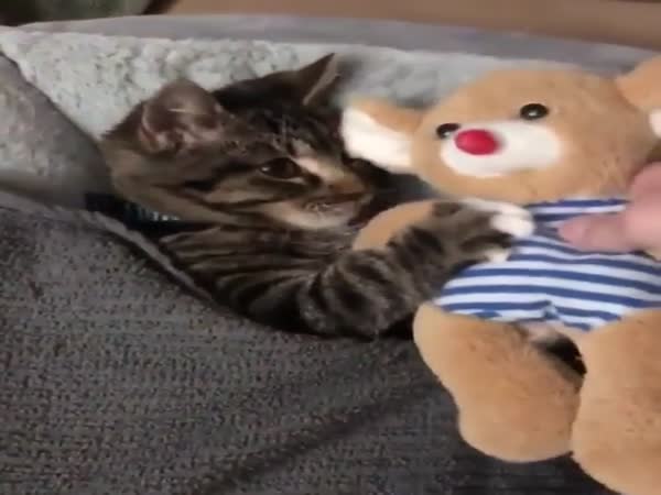 Bedtime Cuddles