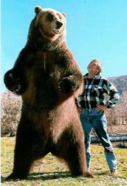 Humans Compared To Animals (31 pics) Humans Compared To Animals (31 pics)