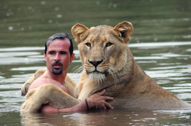 Humans Compared To Animals (31 pics) Humans Compared To Animals (31 pics)