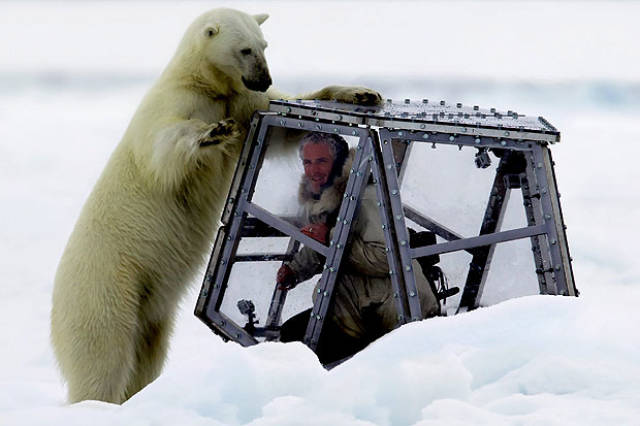 Humans Compared To Animals (31 pics) Humans Compared To Animals (31 pics)