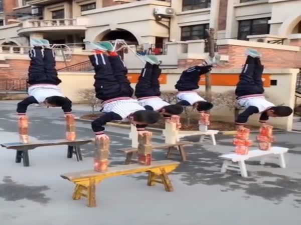 Ninja Training