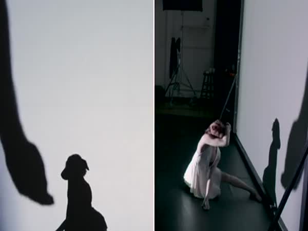 Shadow Dancer Transforms Into Puppy And Back Again