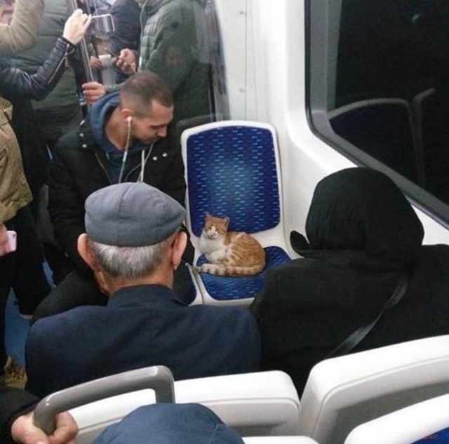 Acid Picdump (100 pics)