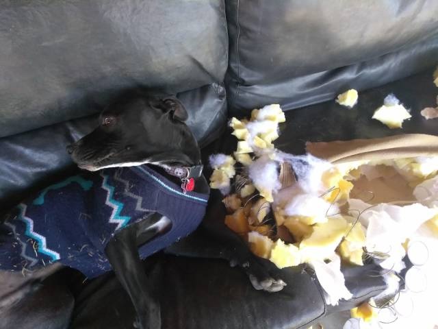 Sh*t Happens (35 pics)