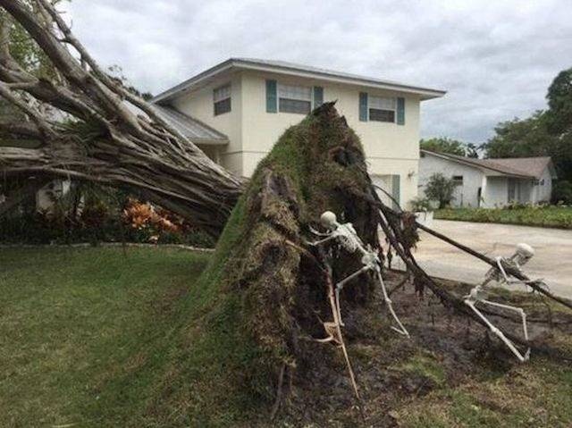 Sh*t Happens (35 pics)