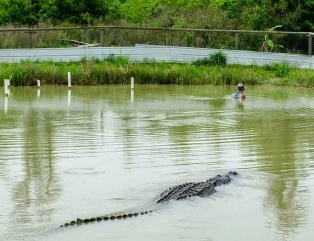 Sh*t Happens (35 pics)