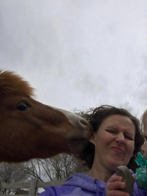 Sh*t Happens (35 pics)