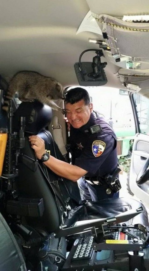 Sh*t Happens (35 pics)