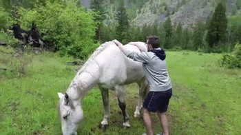 Pain Fails (14 gifs)