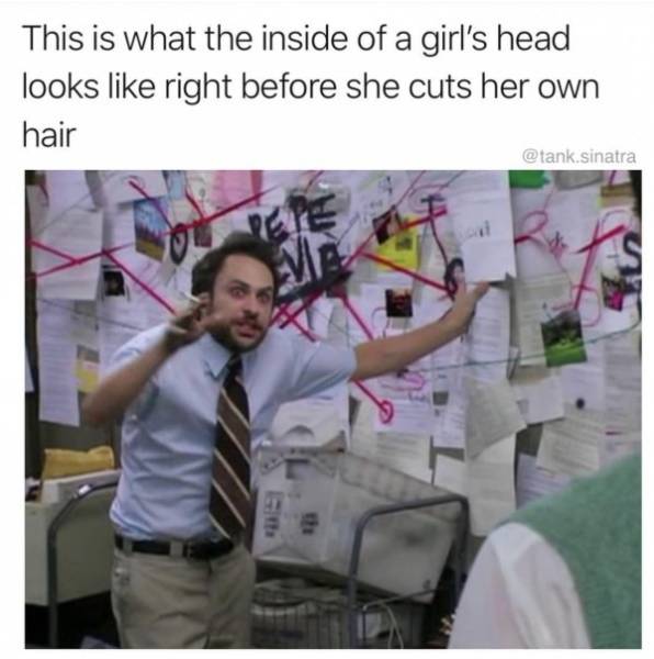 So True (52 pics)