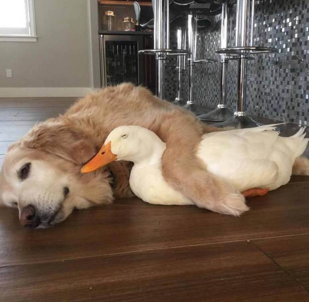 When A Picture Says More Than Just A Thousand Words (53 pics)
