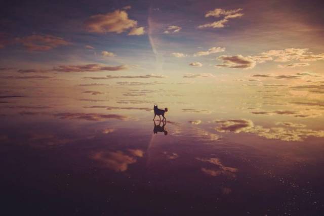 When A Picture Says More Than Just A Thousand Words (53 pics)