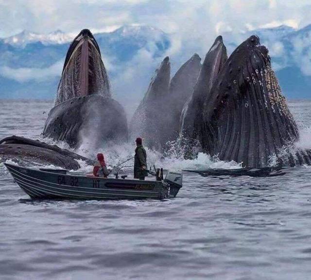 When A Picture Says More Than Just A Thousand Words (53 pics)