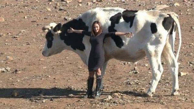 When A Picture Says More Than Just A Thousand Words (53 pics)