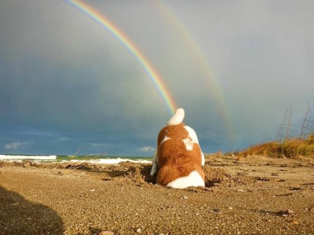 Acid Picdump (96 pics)